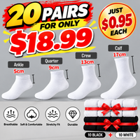 12 Pack White